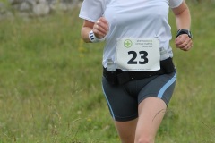 tab2009_00137