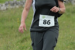 tab2009_00139