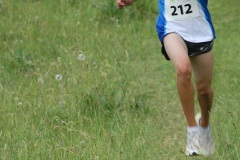 tab2010_00017