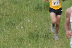 tab2010_00026