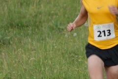 tab2010_00027