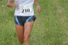tab2010_00062