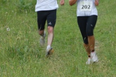 tab2010_00073