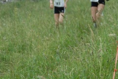 tab2010_00120