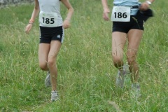 tab2010_00121