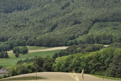 tab2011_0004