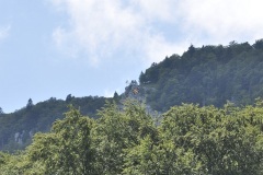 tab2011_0007