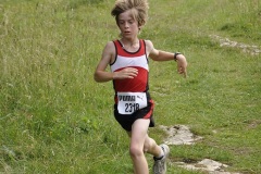 tab2011_0133